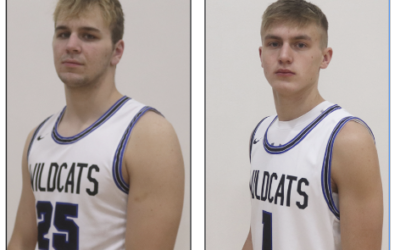 Two Wildcats named as all-substate players