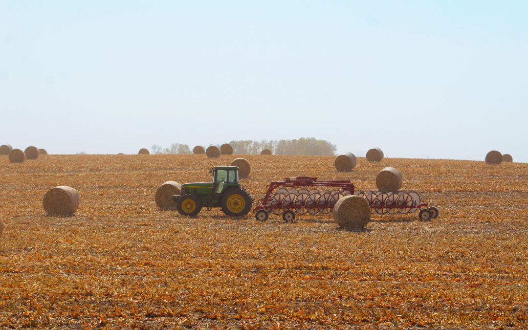 Bringing in the harvest