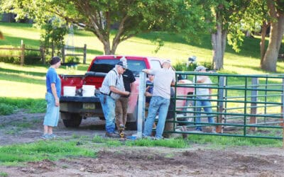 Rebuilding a summer tradition