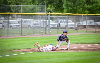 Knights sweep season series